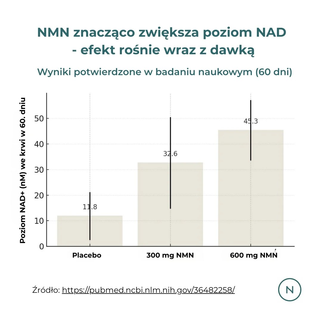 Wykres z badania naukowego: suplementacja NMN po 60 dniach zwiększa poziom NAD w sposób zależny od dawki – 300 mg i 600 mg znacząco wyższe niż placebo.
