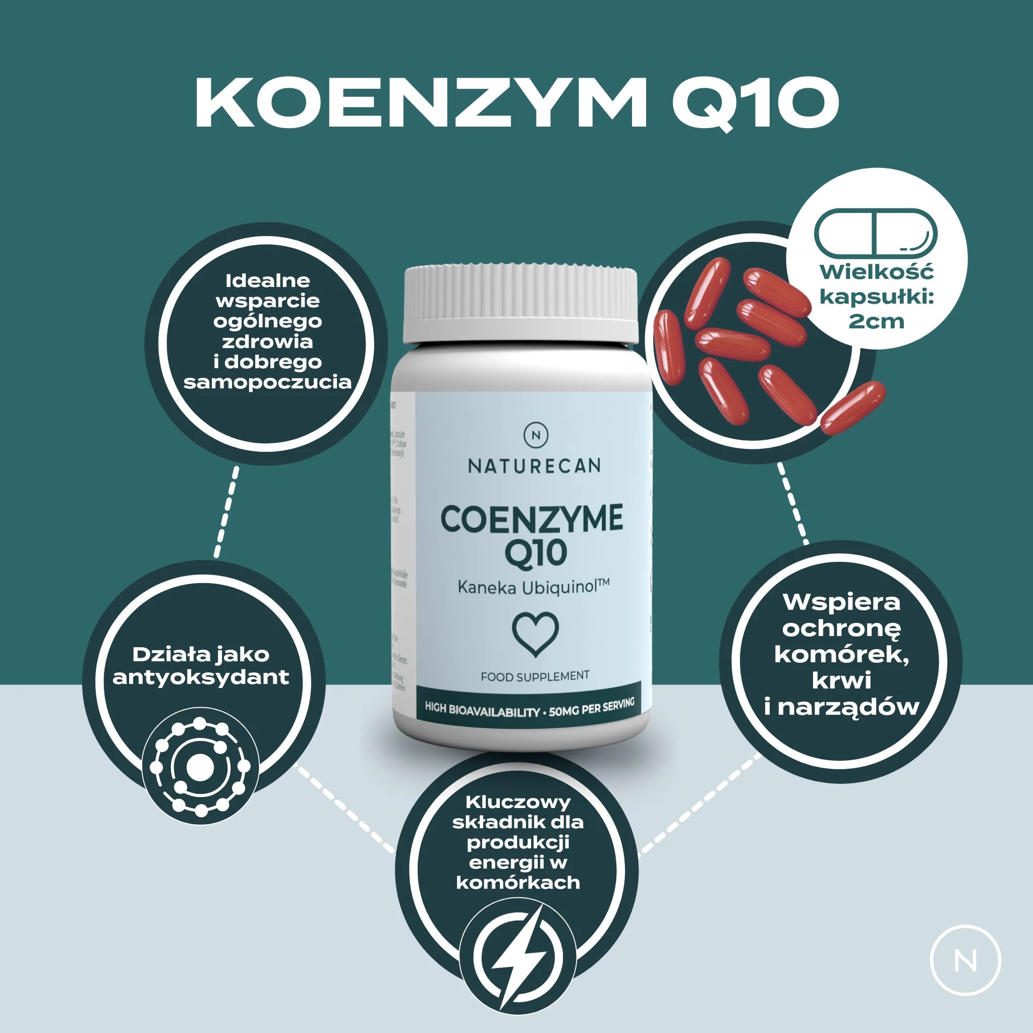 Infografika przedstawiająca kapsułki Koenzymu Q10 Naturecan oraz jego główne korzyści: wsparcie ogólnego zdrowia i samopoczucia, działanie antyoksydacyjne, kluczowa rola w produkcji energii komórkowej, ochrona komórek, krwi i narządów oraz wielkość kapsułki 2 cm.